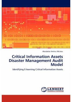 Critical Information Assets Disaster Management Audit Model