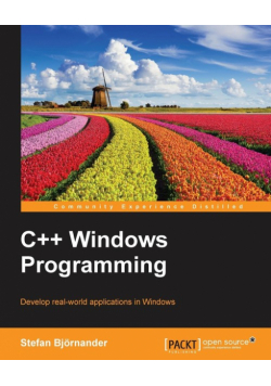 C ++ Windows Programming
