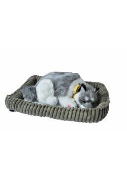 Śpiący pies na poduszce - Husky