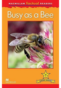 Factual: Busy as a Bee 1+