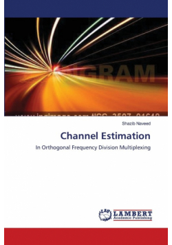 Channel Estimation