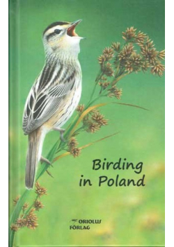 Birding in Poland