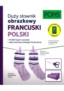 Duży słownik obrazkowy Francuski