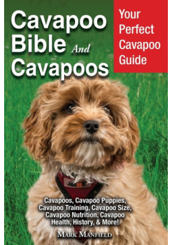 Cavapoo Bible And Cavapoos