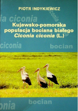 Kujawsko - pomorska populacja bociana białego