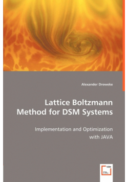 Lattice Boltzmann Method for DSM Systems