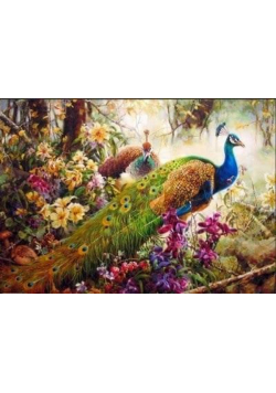 Malowanie po numerach - Pawie w trawie 40x50cm