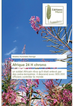 Afrique 24 H chrono