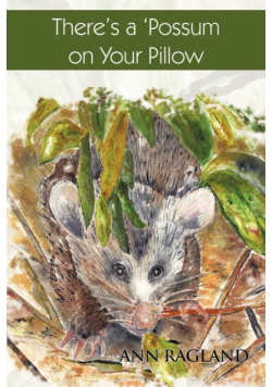 There's a 'Possum on Your Pillow