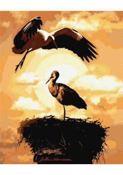 Malowanie po numerach - Lot miłości 40x50cm