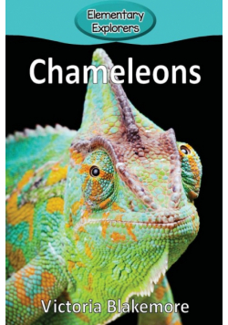 Chameleons