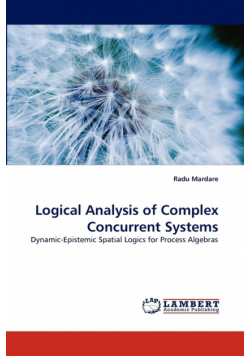 Logical Analysis of Complex Concurrent Systems