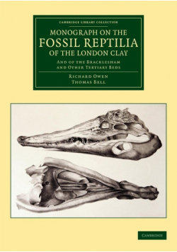 Monograph on the Fossil Reptilia of the London Clay