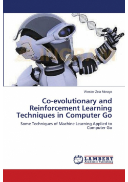 Co-evolutionary and Reinforcement Learning Techniques in Computer Go
