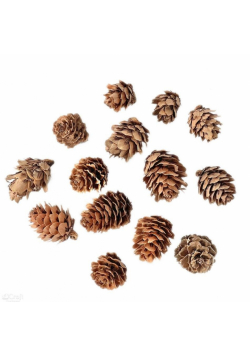 Mini szyszki 25g