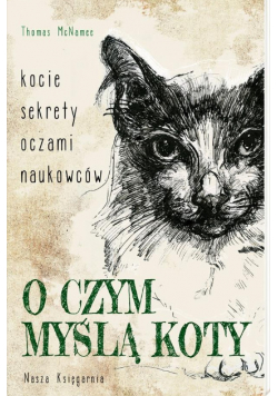 O czym myślą koty Kocie sekrety oczami naukowców
