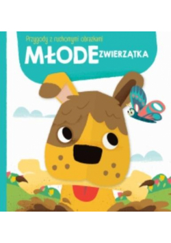 Przygody z ruchomymi obrazkami: Młode zwierzątka