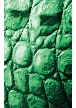 Alive! crocodile skin - Emerald duotone - Photo art notebooks (5 x 8 series)