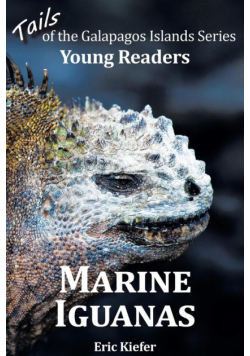 Marine Iguanas - Tails of the Galapagos Islands Series