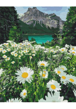 Malowanie po numerach - Rumianek pod góram 40x50cm