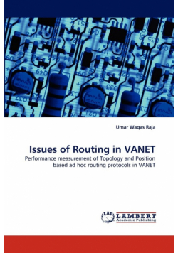Issues of Routing in VANET