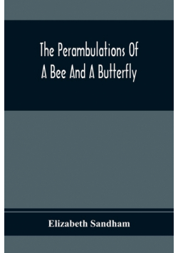 The Perambulations Of A Bee And A Butterfly