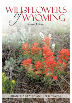 Wildflowers of Wyoming