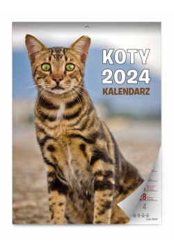 Kalendarz 2024 ścienny Koty