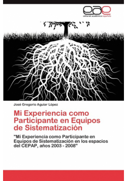 Mi Experiencia como Participante en Equipos de Sistematización
