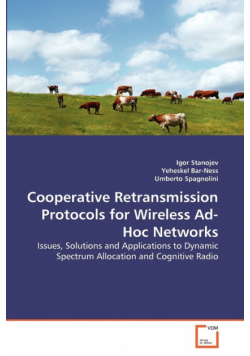 Cooperative Retransmission Protocols for Wireless Ad-Hoc Networks