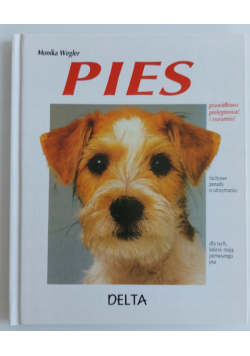 Pies