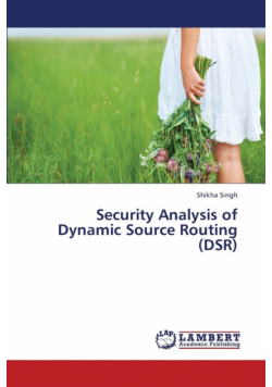 Security Analysis of Dynamic Source Routing (Dsr)