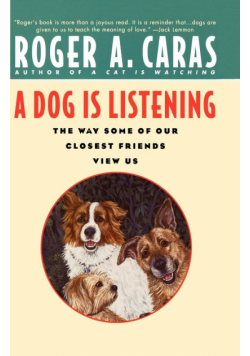 Dog is Listening
