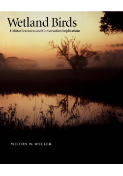 Wetland Birds
