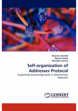 Self-organization of Addresses Protocol
