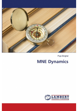 MNE Dynamics