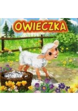 Owieczka JAFI