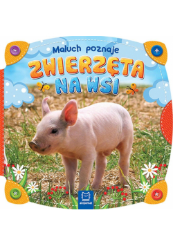 Maluch poznaje zwierzęta na wsi