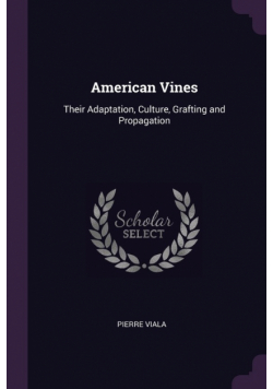 American Vines