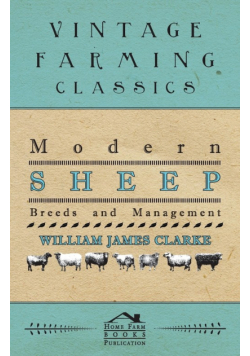 Modern Sheep - Breeds And Management