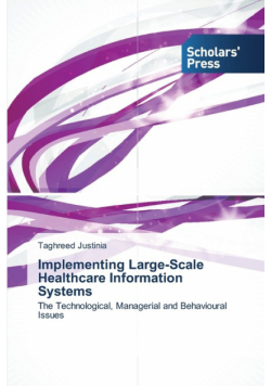 Implementing Large-Scale Healthcare Information Systems