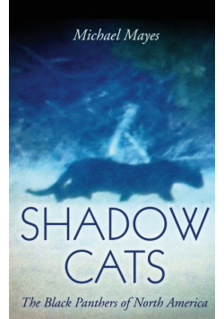 Shadow Cats
