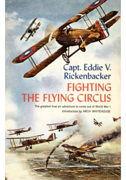 Fighting the Flying Circus