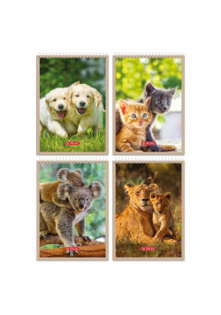 Kołonotatnik A7/40K kratka Animals (20szt)