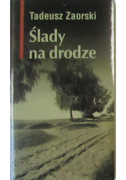 Ślady na drodze