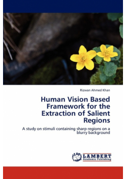 Human Vision Based Framework for the Extraction of Salient Regions