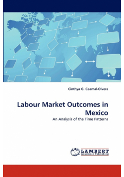 Labour Market Outcomes in Mexico