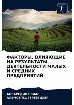 ФАКТОРЫ, ВЛИЯЮЩИЕ НА РЕЗУЛЬТАТЫ ДЕЯТЕЛЬНОСТИ МАЛЫХ И СРЕДНИХ ПРЕДПРИЯТИЙ