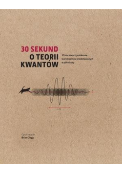 30 sekund O teorii kwantów
