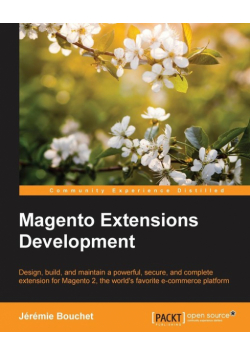 Magento Extensions Development